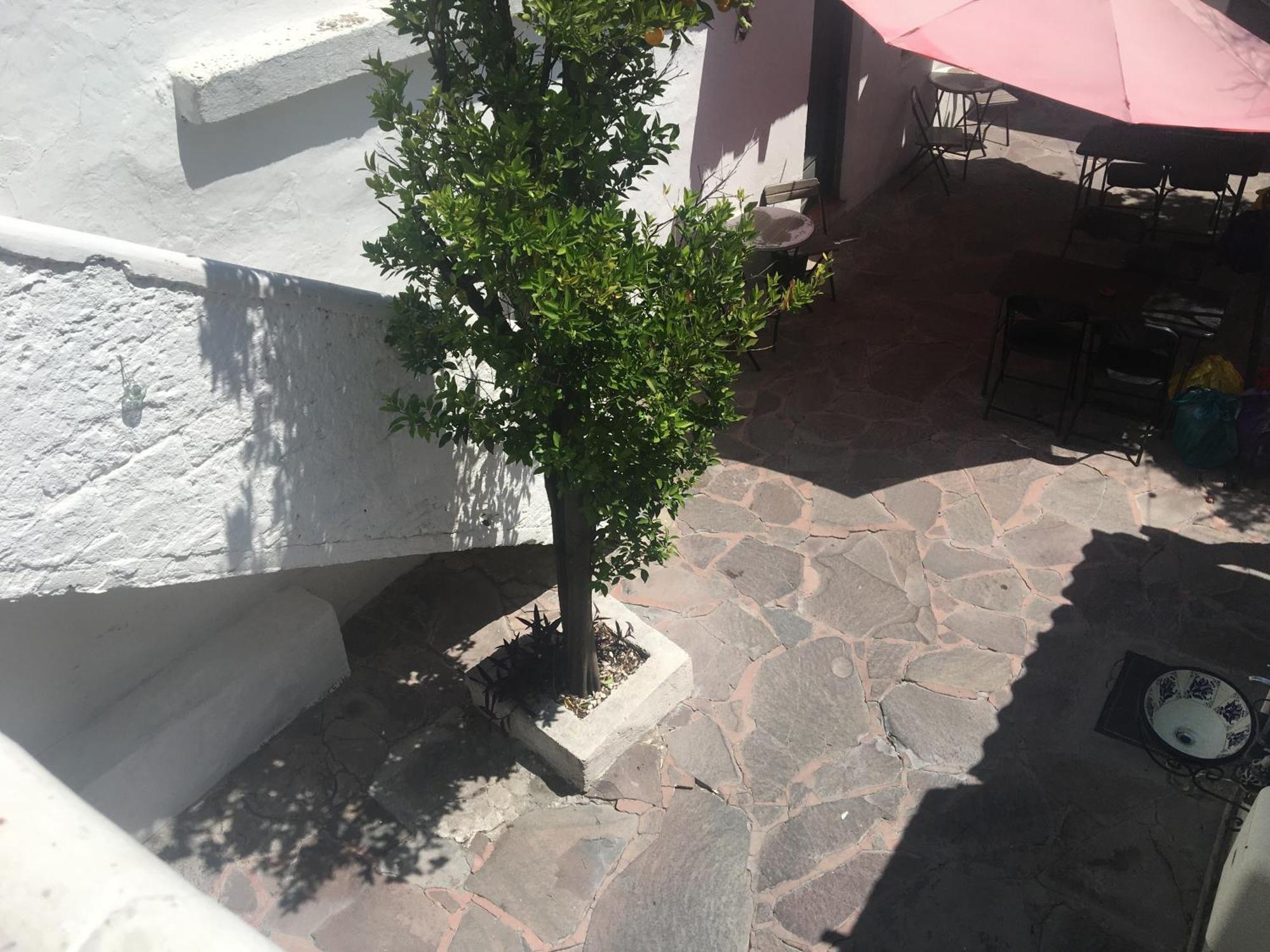 Patio Alojamiento San Miguel de Allende Luaran gambar
